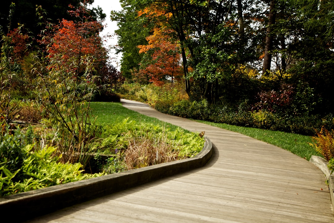 about-01 gray-concrete-road-between-green-and-brown-trees-during-daytime-jttep3-jzxw
