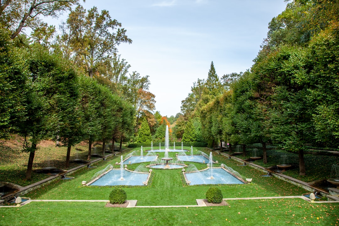 about-02 green-grass-field-with-fountain-in-the-middle-of-the-forest-nfpkh9sajxa
