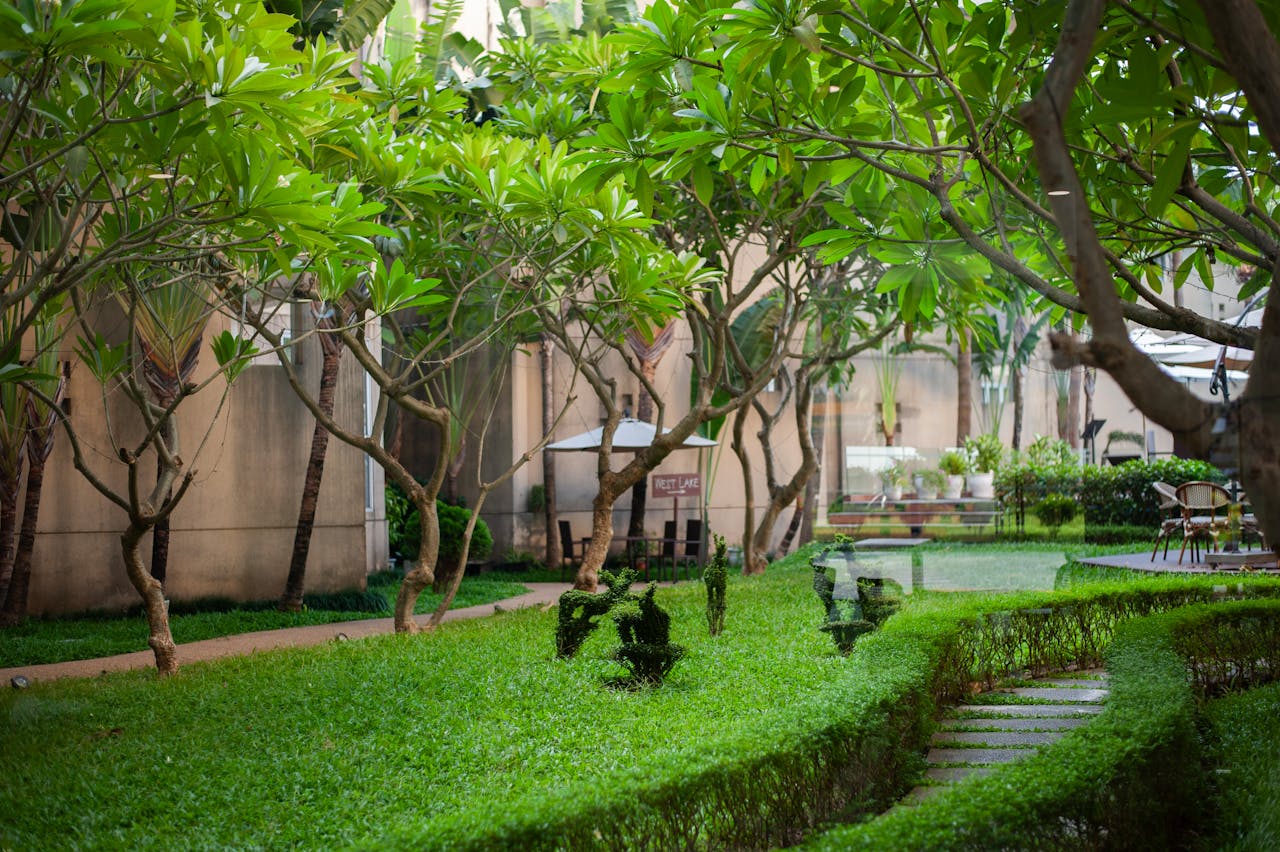 lush-green-garden-with-pathway-and-trees-34056748