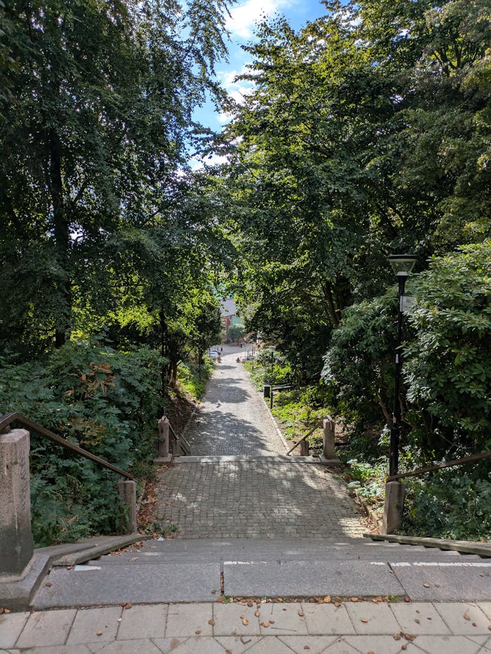 A tranquil walkway descends through a vibrant green park, offering a peaceful nature escape.